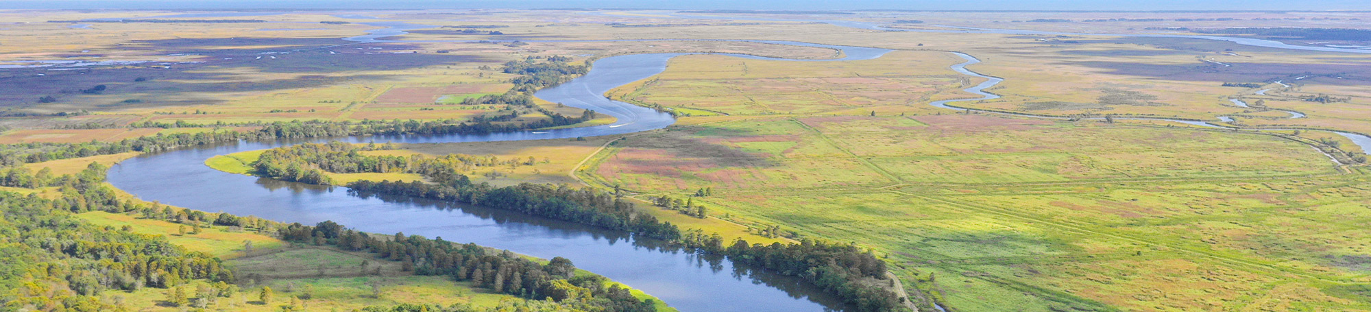 Aerial view of rivers