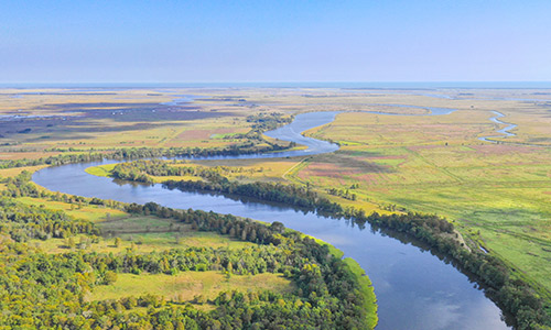 Aerial view of a river