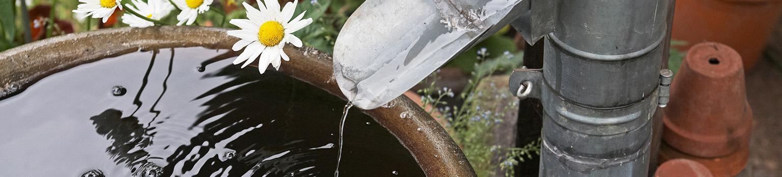 Water dripping into a pot, with flowers in the background